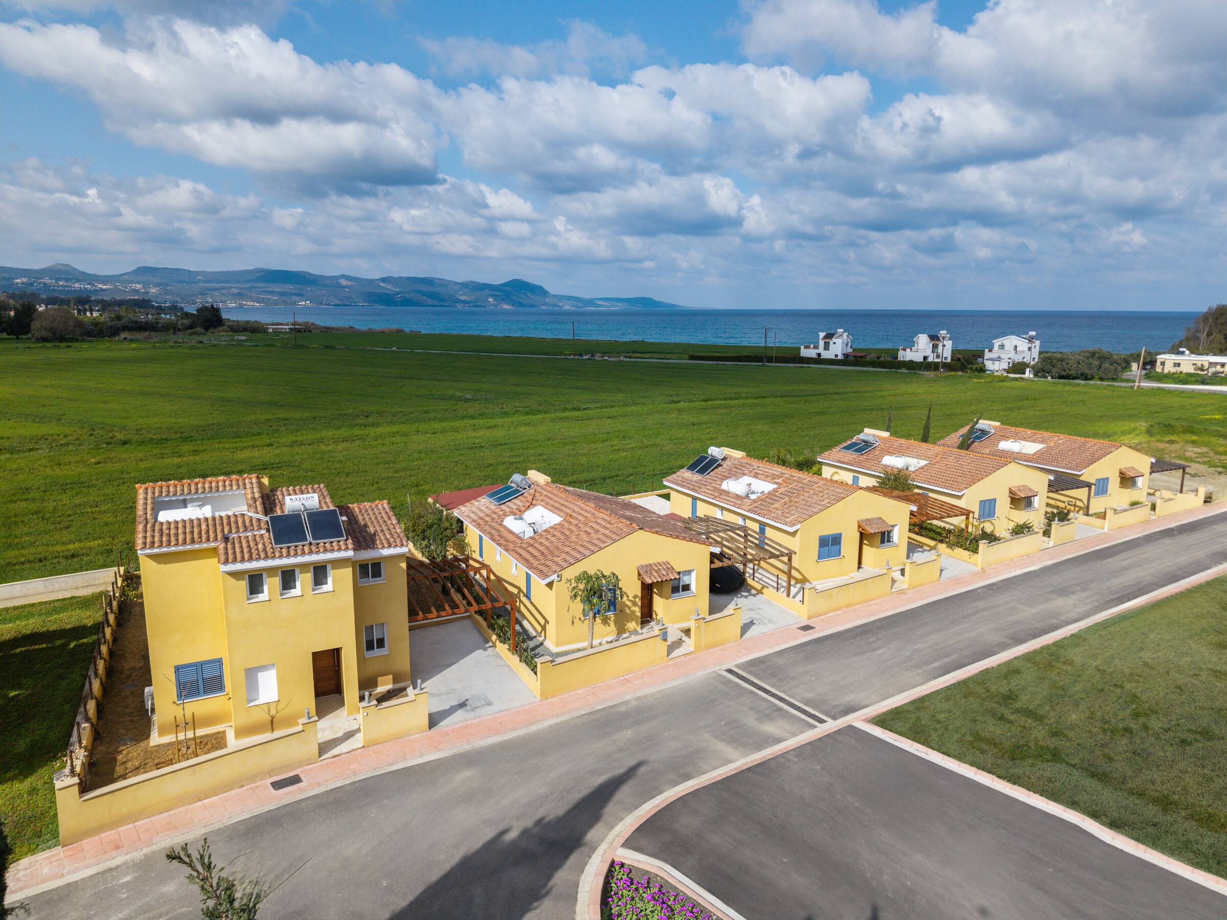 The community from above